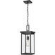 Barkeley 1 Light 8 inch Powder Coated Black Outdoor Hanging Lantern